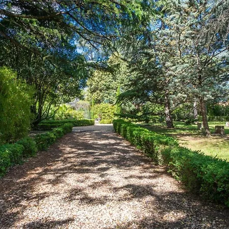 Sleeps 12 With Pool And Wifi * Caux